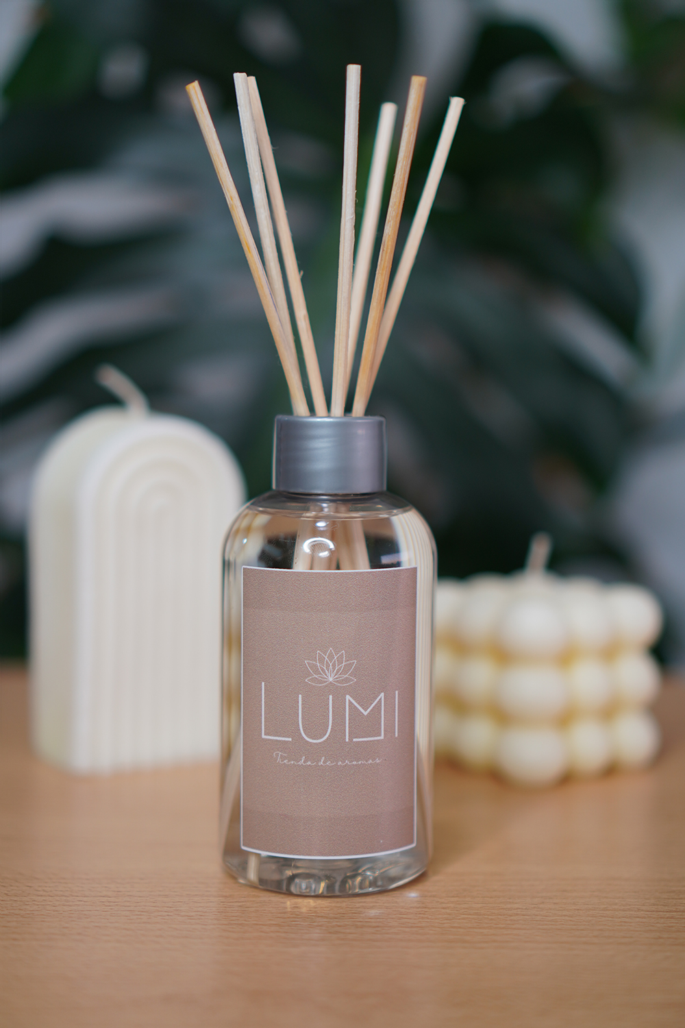 Imagen de Difusores de Varilla