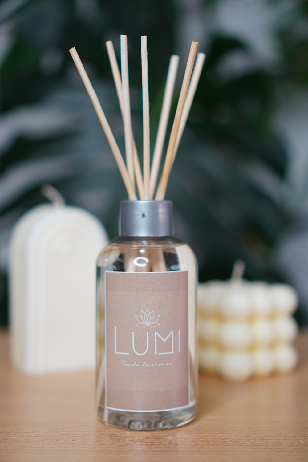 Imagen de Difusores de Varilla